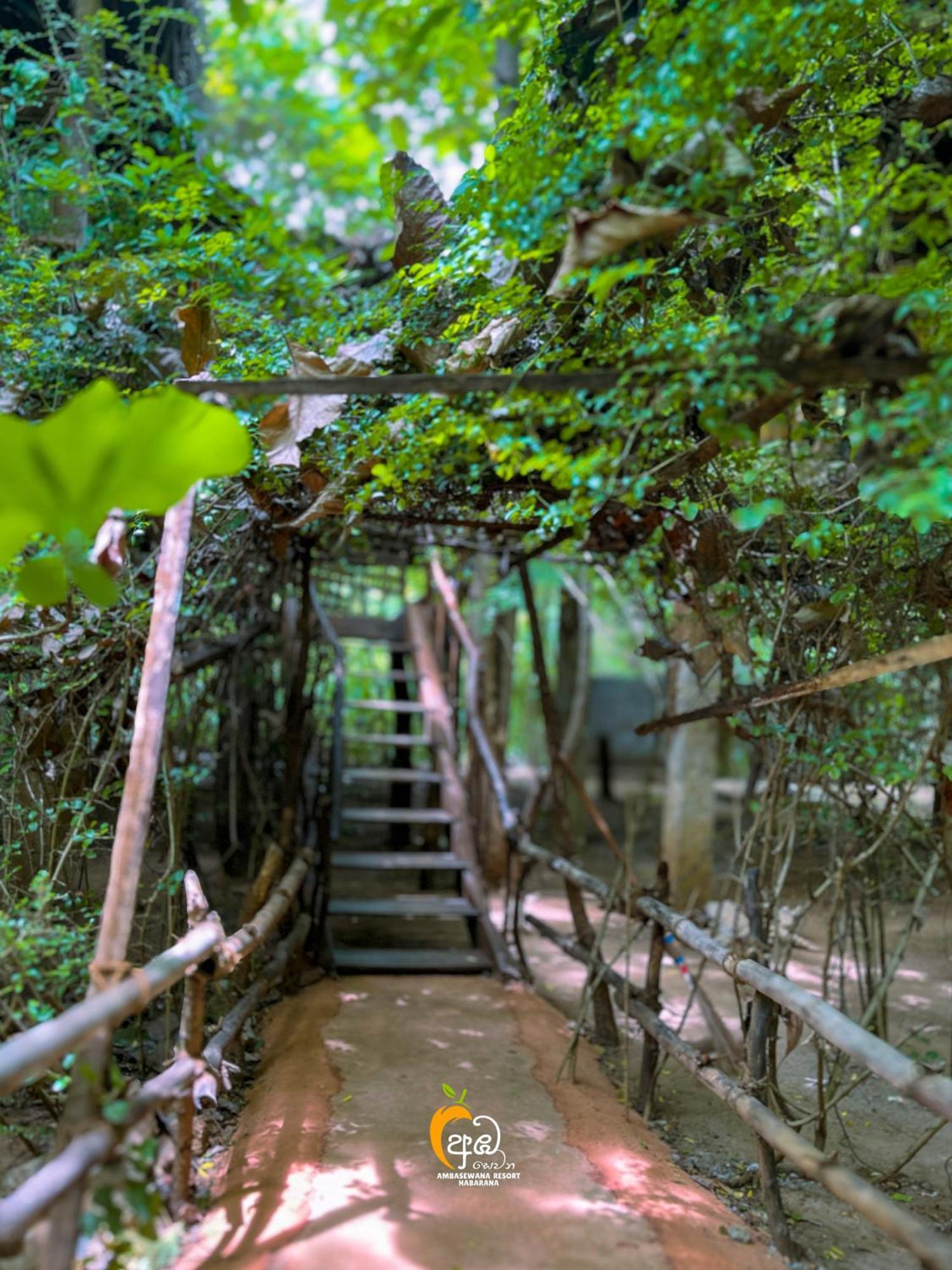 Habarana Tree House Ambasewana Resort Room photo