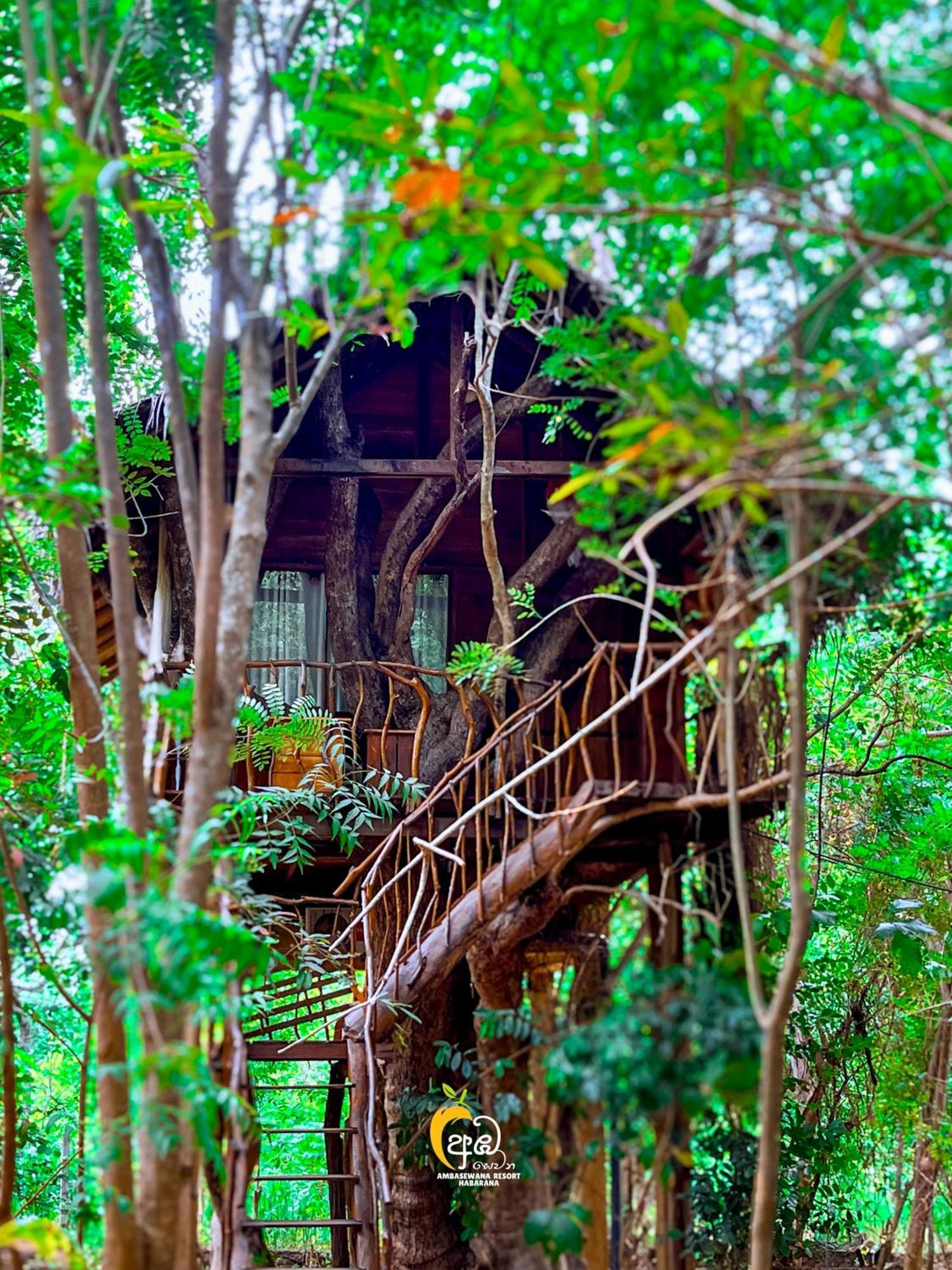 Habarana Tree House Ambasewana Resort Exterior photo