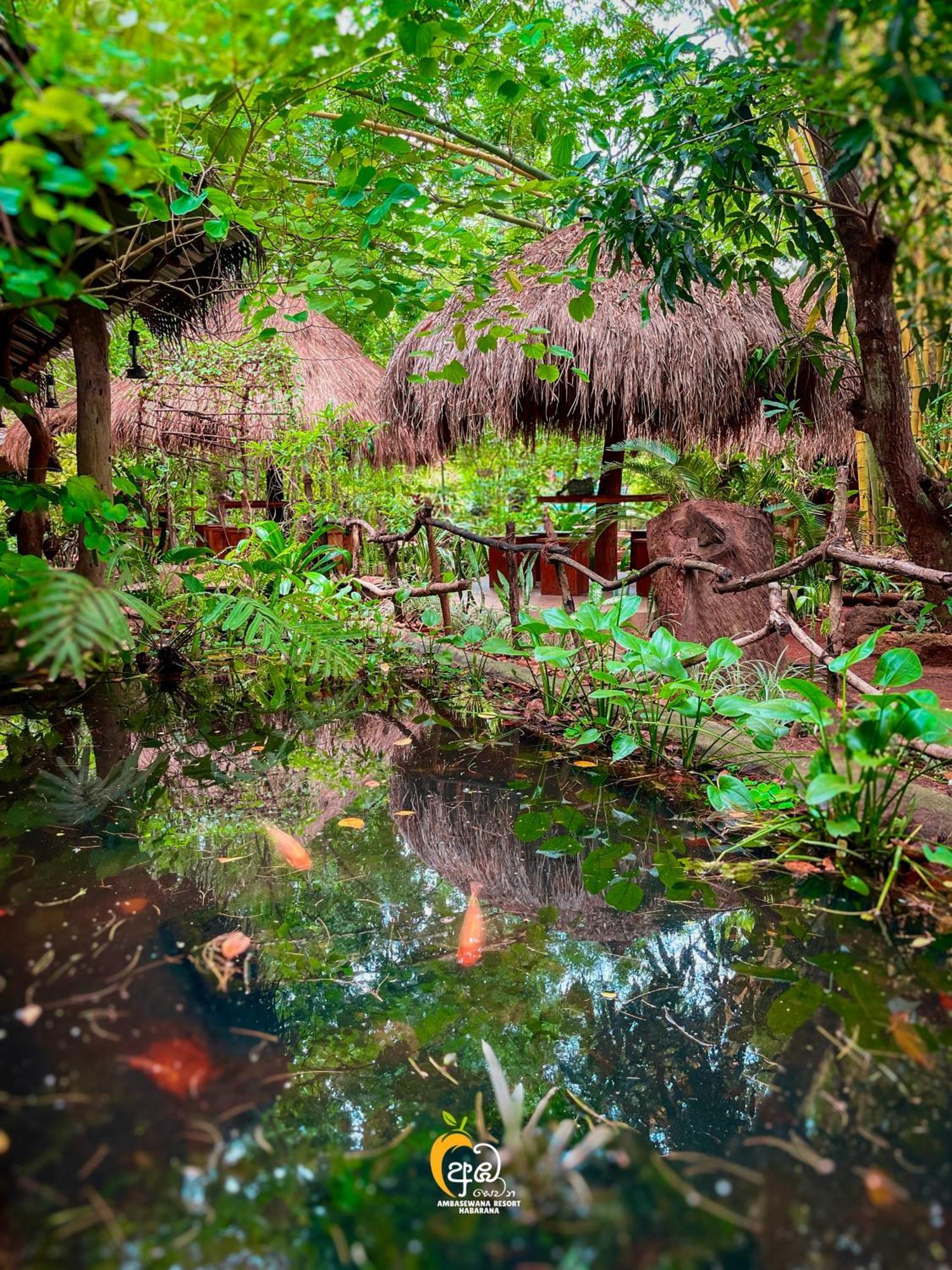 Habarana Tree House Ambasewana Resort Exterior photo